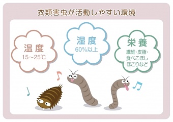 衣類害虫が活動しやすい条件