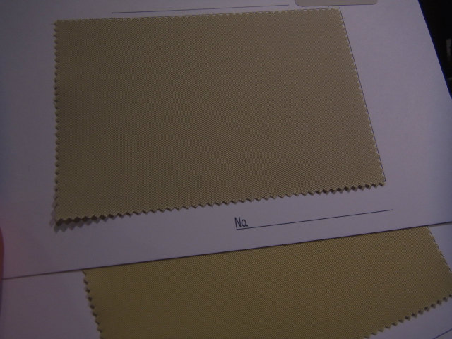 20130331u (2)