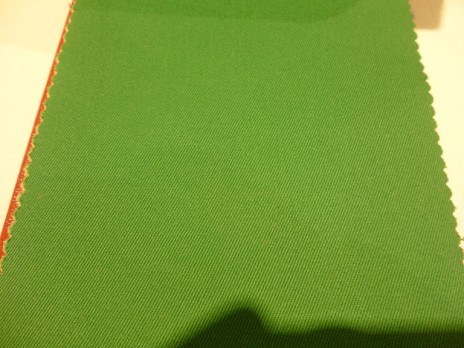 P1010010