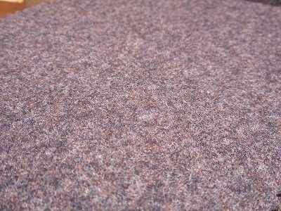 DSCN0896