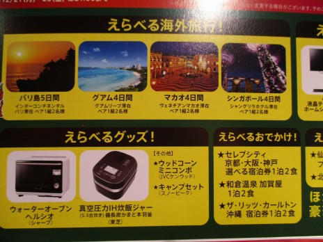 inaba1212 (3)