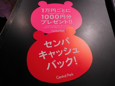 DSCN1348