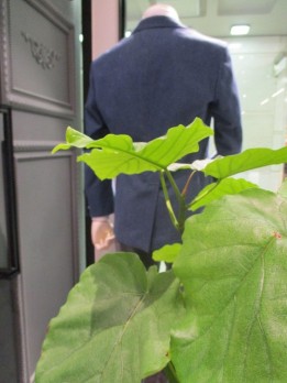 20160823 (3)