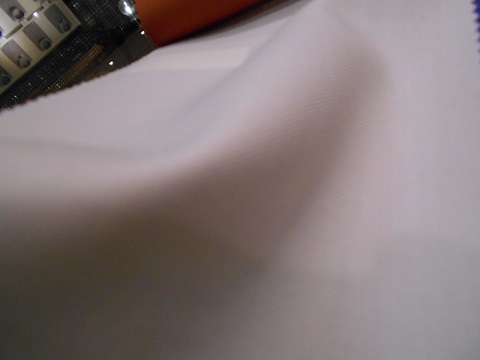DSCN0242